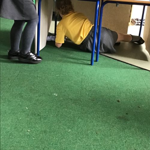 IMG2202