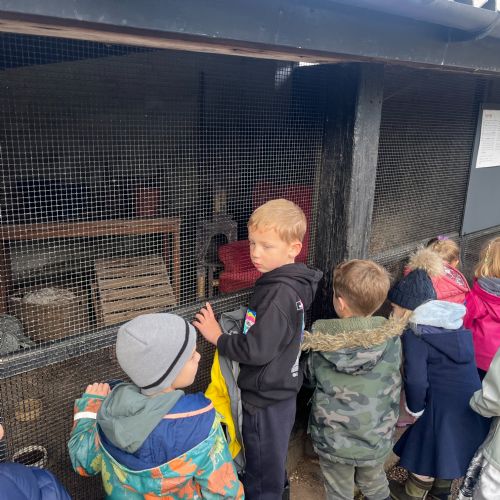Staunton Country Farm Visit.