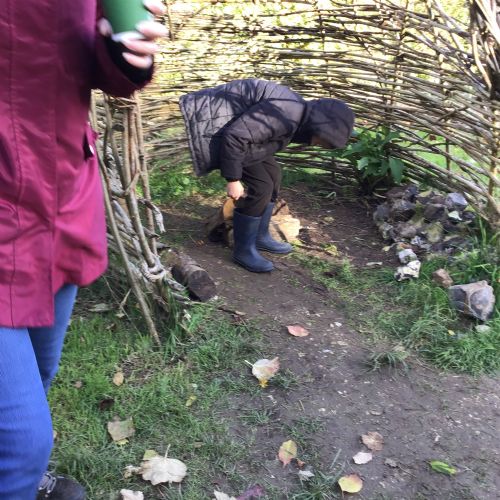 IMG1223