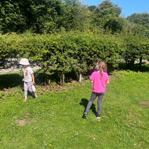 QE Park