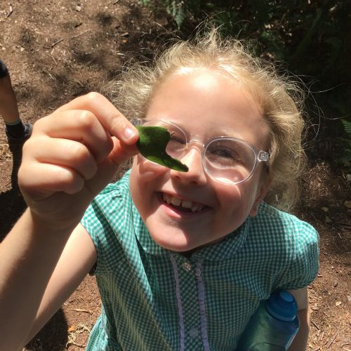 Finding beauty in nature