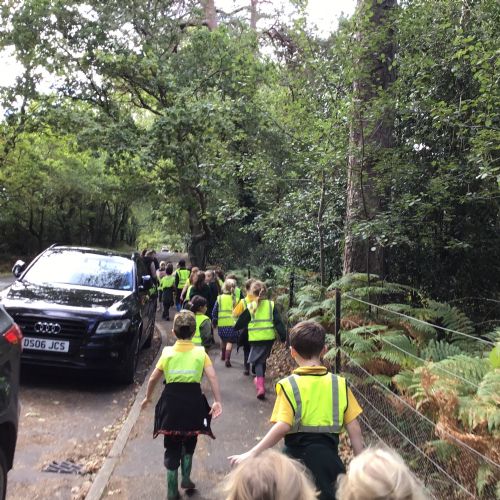 Local Area Walk 23.9.25