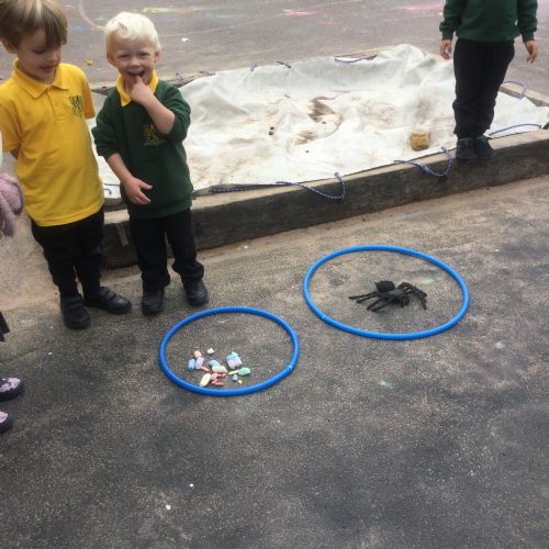 Maths in Acorns