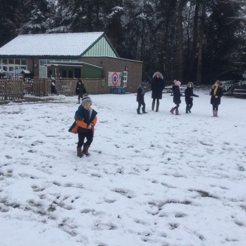 Snow is Falling ... All Around Us!