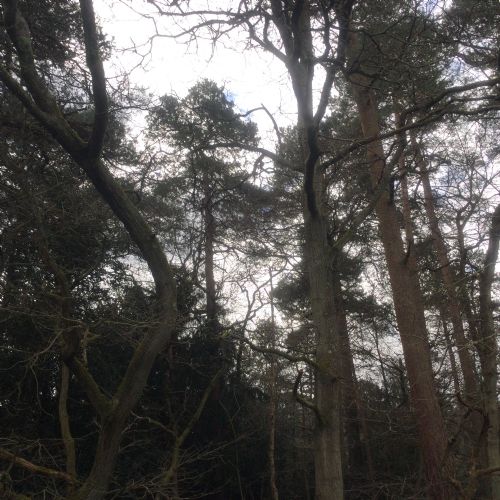 IMG0497