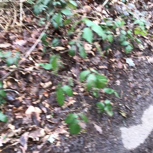 IMG0928