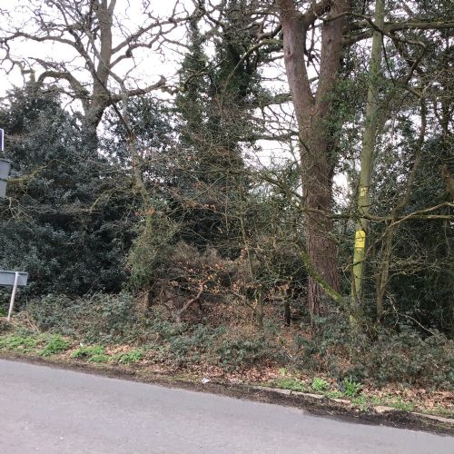 IMG0931
