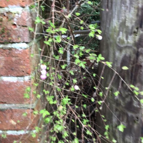 IMG0932