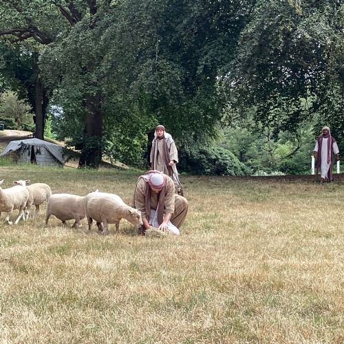 IMG0015